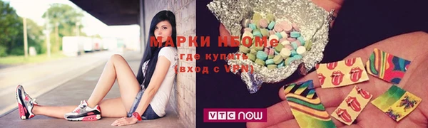 индика Алексин