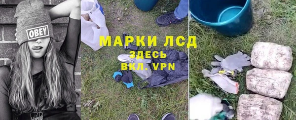 гидра Абаза