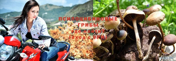 индика Алексин