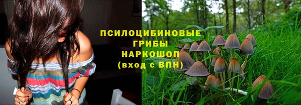 ГАЛЛЮЦИНОГЕННЫЕ ГРИБЫ Алзамай