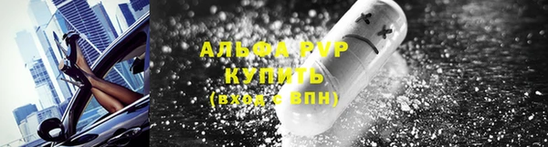 гидра Абаза