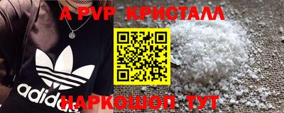 стафф Заводоуковск