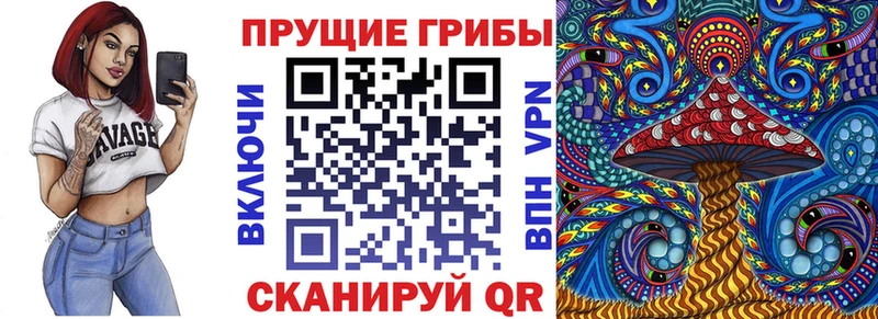 Псилоцибиновые грибы Cubensis где купить наркотик Новоалтайск
