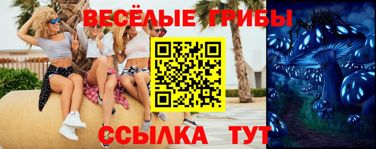 Новоалтайск  Галлюциногенные грибы ЛСД  Вход с VPN 