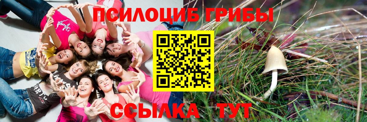 Псилоцибиновые грибы ЛСД Новоалтайск